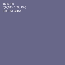 #696789 - Storm Gray Color Image